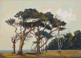 Nita Spilhaus, Windswept Trees