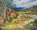 Hugo Naude, Namaqualand Flowers and Quiver Tree