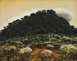 Noel Hodnett, White Heather, Black Hill, oil on canvas
