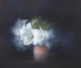 Paul Emsley, Lilies