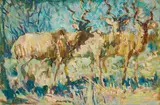 Zakkie Eloff, Three Kudu