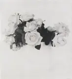 Stephen Inggs, Roses, Overberg, 2003, hand-painted silver gelatin emulsion on 100% rag paper