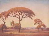 Jacobus Hendrik Pierneef, Doringboom (Thorn Tree)