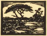 Doringboom, Warmbad (Nilant 61) by Jacobus Hendrik Pierneef, linocut, sold Jul 2021