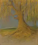 Jacobus Hendrik Pierneef, Willow Tree