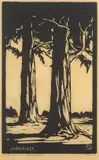 Bloekombome (Nilant 77) by Jacobus Hendrik Pierneef, linocut on paper, sold Jul 2021