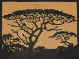 Wilde Sering Boom, NT (Nilant 98) by Jacobus Hendrik Pierneef, linocut on paper, sold Jul 2021