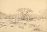 Jacobus Hendrik Pierneef, Swakop Rivier, Suid Wes Afrika, charcoal and conté on paper