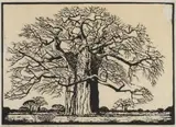 Kremetartboom, Bosveld, N.T. (Nilant 73) by Jacobus Hendrik Pierneef, linocut on paper, sold Jul 2021