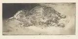 François Krige, A Nestling, etching