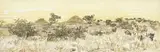 Sud West Afrika by Adolph Jentsch, watercolour on paper, sold Aug 2021