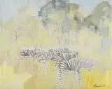 Gordon Vorster, Zebras