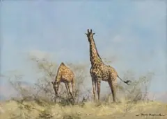 David Shepherd, Giraffe Pair, oil on canvas