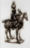 Diane Victor, Horse and Hybrid Rider