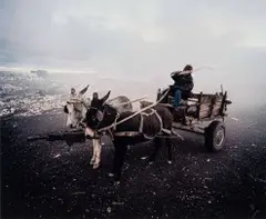 Mikhael Subotzky, Donkey Cart, Vaalkoppies (Beaufort West Rubbish Dump), 2006, Lightjet C-Print