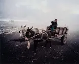 Mikhael Subotzky, Donkey Cart, Vaalkoppies (Beaufort West Rubbish Dump)