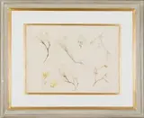 Frans Oerder, Studie B (Magnolias)