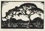 Doringboom, Potgietersrust (Nilant 62) by Jacobus Hendrik Pierneef, linocut, sold Oct 2019