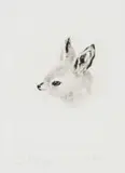 Johannes Blatt, Young Bat-eared Fox, drypoint etching