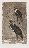 Johannes Blatt, Storks, etching and aquatint