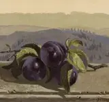 Neil Rodger, Prunus Domestica