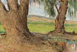 Pieter Wenning, Willow Trees (Meintjieskop), Pretoria, pastel on paper