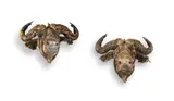 Wim Botha, Buffalo Heads; two, books and metal
