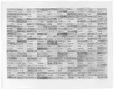 Willem Boshoff, Word Woes, 2014, etching