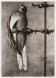 William Kentridge, Bird Catcher, archival pigment print