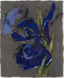William Kentridge, Iris, mixed media with collage on paper