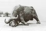 Lucas Sithole, Wounded Buffalo, LS7101, bronze with brown patina