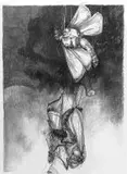 Diane Victor, Moths Caught in Spider Web, charcoal on paper