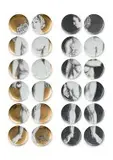 Adamo and Eva; 24 plates by Piero Fornasetti, porcelain plates with transfer image, sold Nov 2019