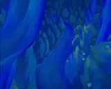 Michael Pettit, The Blue Path