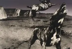 Jo Ratcliffe, NADIR 10, 1987, screen printed photographic lithograph