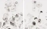 Diane Victor, Our Lady of the Bromeliads; Our Lady of the Stains, two, two colour lithograph