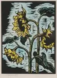 Gregoire Boonzaier, Sunflowers, colour linocut