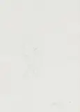 Nelson Makamo, Boy Walking, pencil on paper