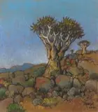 Conrad Theys, Quiver Trees