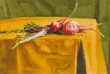 Denby Meyer, Radishes, watercolour on card