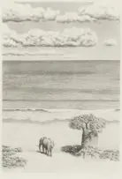 Bowen Boshier, Still, pencil on paper