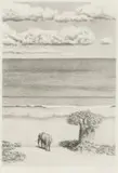 Bowen Boshier, Still, pencil on paper