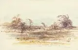 Adolph Jentsch, Bushveld Landscape