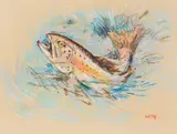 Rainbow Trout by Zakkie Eloff, chalk pastel on paper, offered Sep 2019