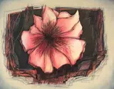 Ernst de Jong, Flower
