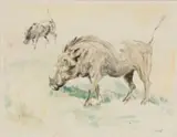 Zakkie Eloff, Warthogs, monotype on paper