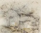 Gordon Vorster, Wildebeest, mixed media on board