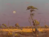 Willem Hermanus Coetzer, Moonrise at Sunset, Bushveld