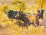 Group of Buffalo by Zakkie Eloff, oil on canvas, sold Sep 2019