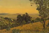 Erich Mayer, Lowveld Landscape, oil on artist’s board